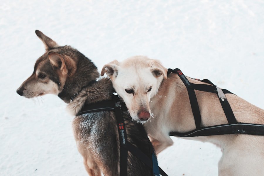 Hot and cold packs