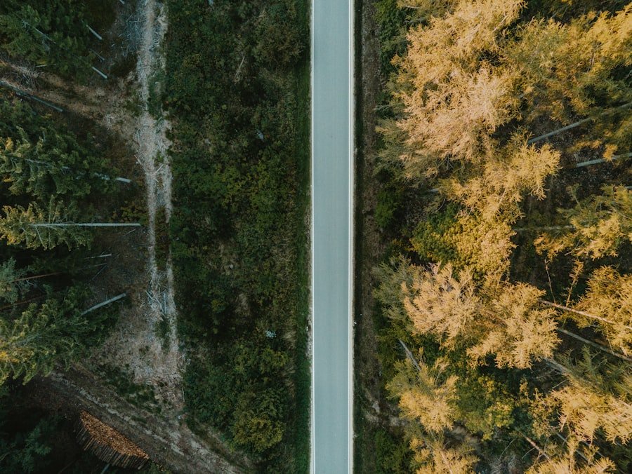 Photo Screen comparison
