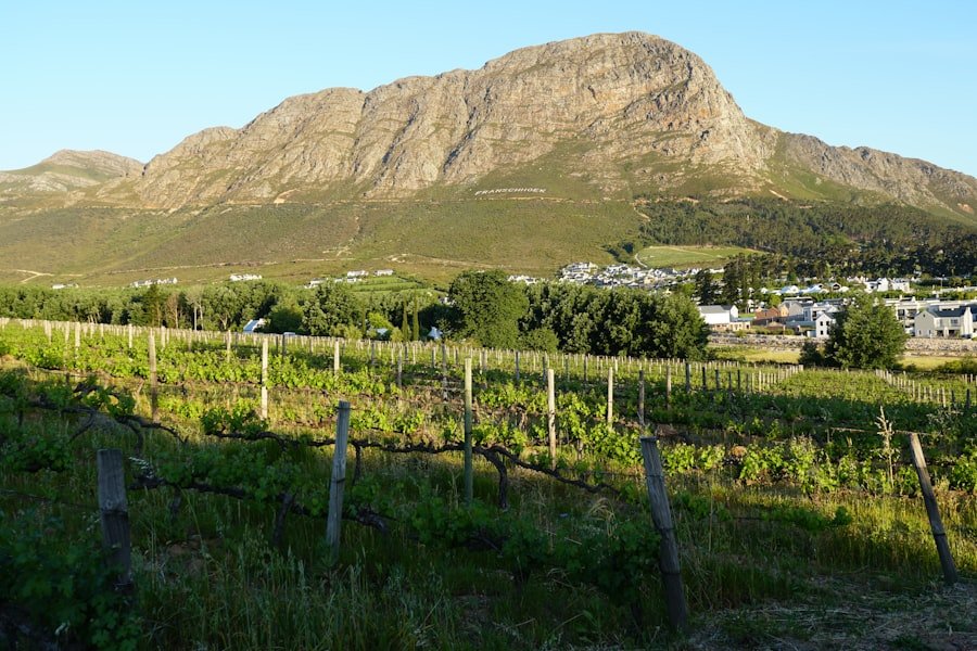 Cape Town Winelands