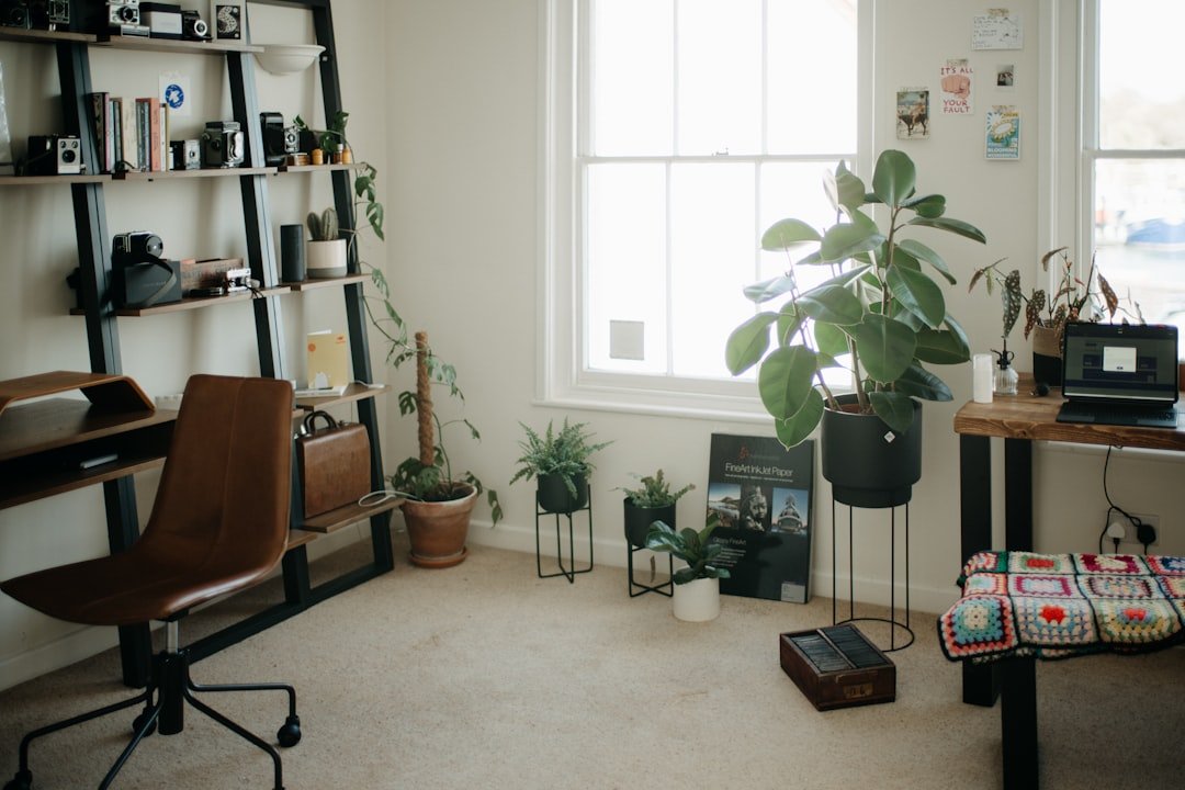 Photo Organize Living Room