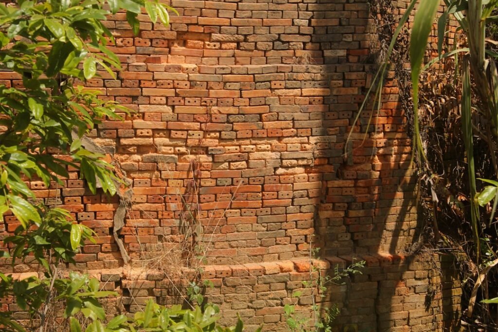 Photo Repair Water-Damaged Walls