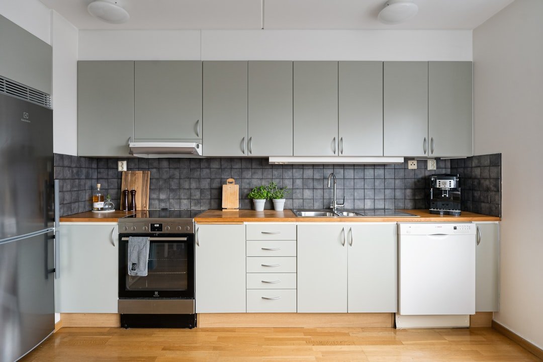 Photo Energy-Efficient Kitchens