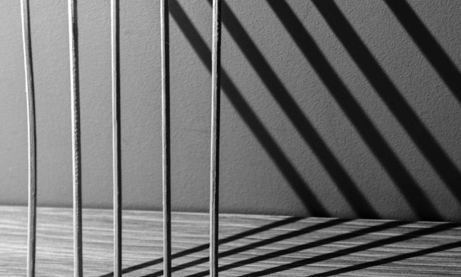 Photo Custody Challenges