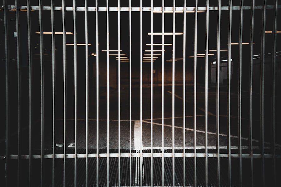 Photo Custody disputes