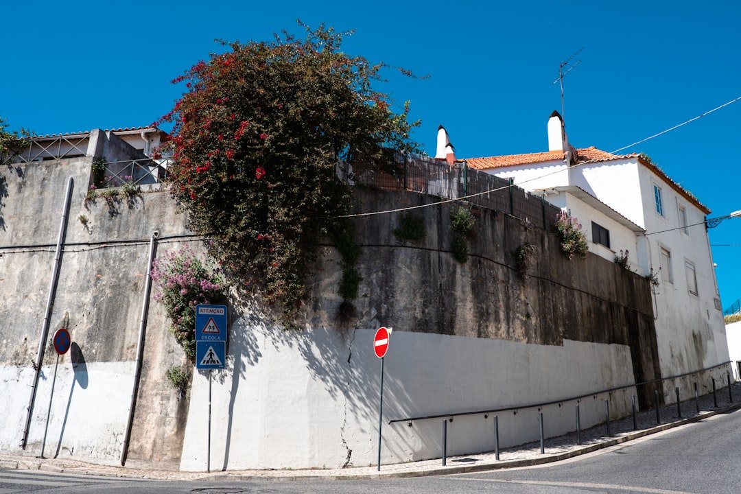 Exploring Street Art in Lisbon’s Bairro Alto
