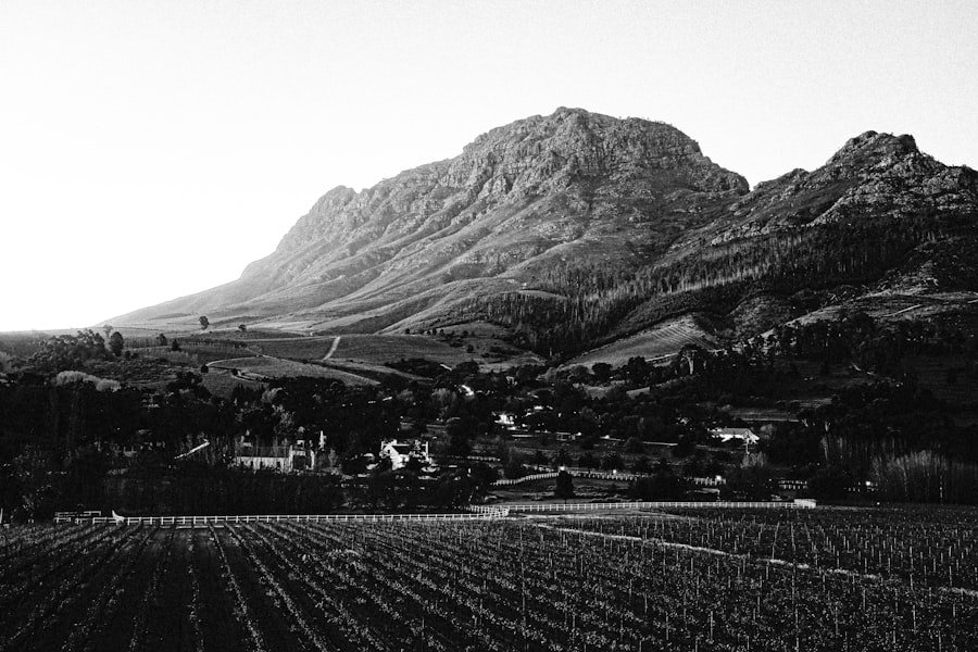 Photo Cape Town Winelands
