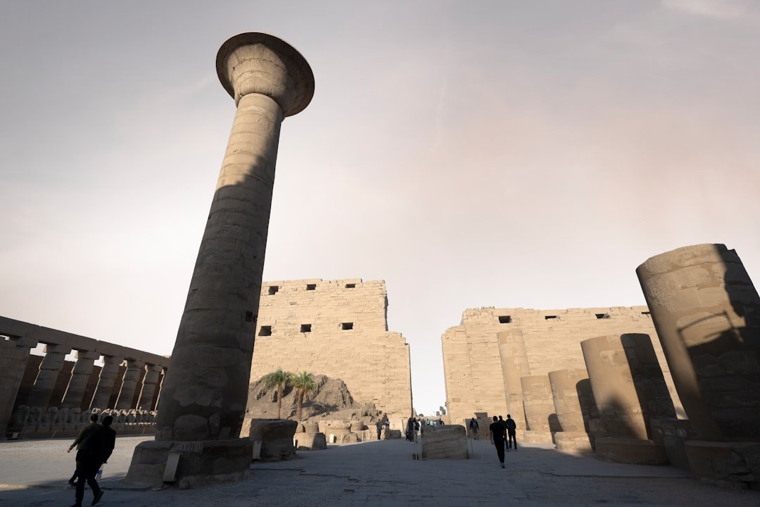 Education Myths: Students’ Late Realizations